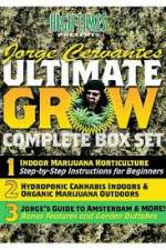 Watch Jorge Cervantes Ultimate Grow Complete Box Set Niter