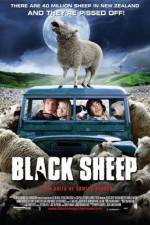 Watch Black Sheep Niter