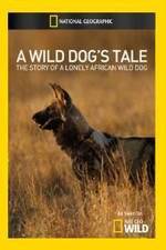 Watch A Wild Dogs Tale Niter