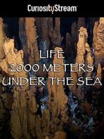 Watch Life 2,000 Meters Under the Sea Niter