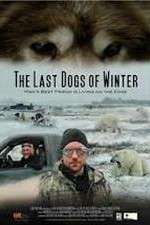 Watch The Last Dogs of Winter Niter