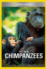 Watch The New Chimpanzees Niter