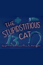 Watch The Stupidstitious Cat Niter