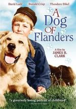 Watch A Dog of Flanders 123netflix