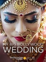 Watch My Big Bollywood Wedding Niter