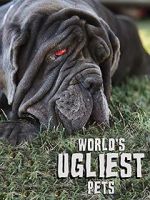 Watch World\'s Ugliest Pets Niter