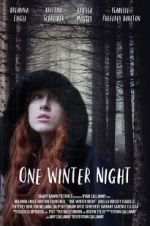 Watch One Winter Night Niter