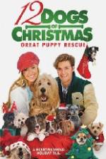 Watch 12 Dogs of Christmas Great Puppy Rescue Niter