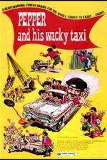 Watch Wacky Taxi Niter