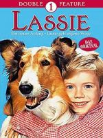 Watch Lassie: A New Beginning Niter