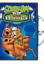 Watch Scooby Doo & The Robots Niter