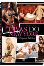Watch WWE Divas Do New York Niter