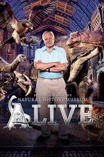 Watch David Attenborough\'s Natural History Museum Alive Niter