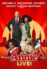 Watch Annie Live! Niter