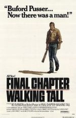 Watch Final Chapter: Walking Tall Niter