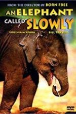 Watch An Elephant Called Slowly Niter