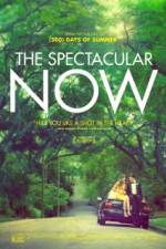 Watch The Spectacular Now Niter