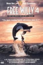 Watch Free Willy Escape from Pirate's Cove Niter