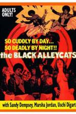 Watch The Black Alley Cats Niter