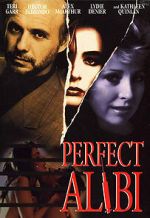 Watch Perfect Alibi Niter