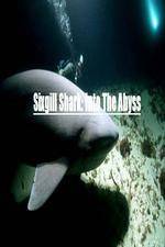 Watch National Geographic Wild Sixgill Shark Into The Abyss Niter
