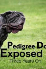 Watch Pedigree Dogs Exposed, Three Years On Niter