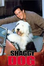 Watch The Shaggy Dog Solarmovie