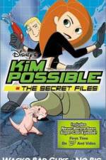 Watch "Kim Possible" Attack of the Killer Bebes Niter