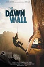 Watch The Dawn Wall Niter