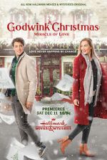 Watch A Godwink Christmas: Miracle of Love Niter