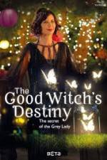 Watch The Good Witchs Destiny Niter
