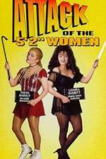Watch Attack of the 5 Ft 2 Women Niter