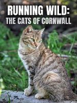Watch Running Wild: The Cats of Cornwall (TV Special 2020) Niter