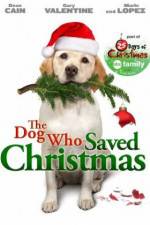 Watch The Dog Who Saved Christmas Niter
