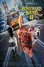 Watch Homeward Bound II: Lost in San Francisco Niter