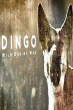 Watch Dingo Wild Dog at War Niter