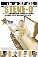 Watch Don't Try This at Home The Steve-O Video Niter