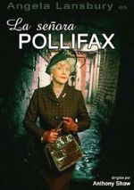 Watch The Unexpected Mrs. Pollifax Niter