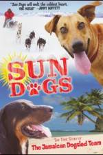 Watch Sun Dogs Niter