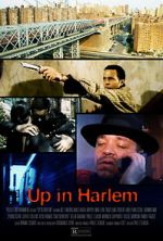 Watch Up in Harlem Niter