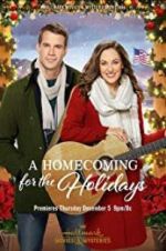 Watch A Homecoming for the Holidays Niter