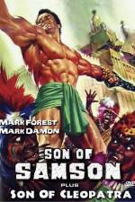 Watch Son of Samson Niter