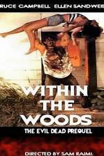 Watch Within the Woods Niter