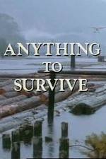 Watch Anything to Survive Niter