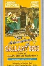 Watch Adventures of Gallant Bess Niter