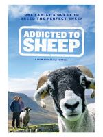 Watch Addicted to Sheep Niter