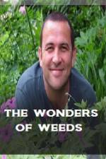 Watch The Wonder Of Weeds Niter