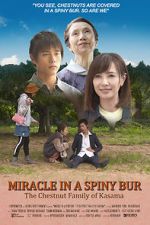 Watch Miracle in Kasama Niter