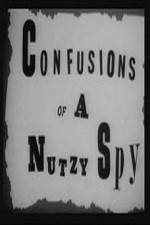 Watch Confusions of a Nutzy Spy Niter