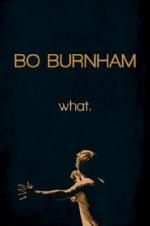 Watch Bo Burnham: what. Niter